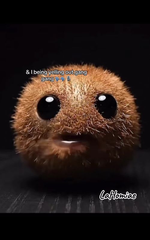 they so cute 🥰 #nichefruits #creatorsearchinsights2025 #aifruits #viral #trending